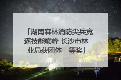 湖南森林消防尖兵竞逐技能巅峰 长沙市林业局获团体一等奖