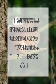 湖南澧县的城头山遗址如何成为“文化地标”？一探究竟