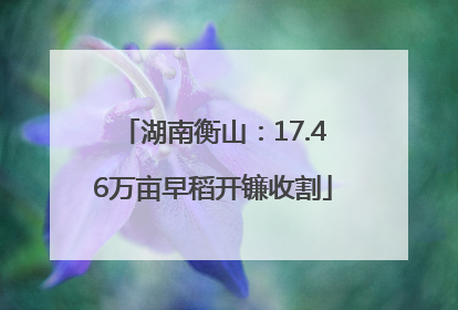 湖南衡山：17.46万亩早稻开镰收割