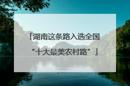 湖南这条路入选全国“十大最美农村路”