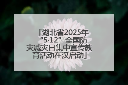 湖北省2025年“5·12”全国防灾减灾日集中宣传教育活动在汉启动