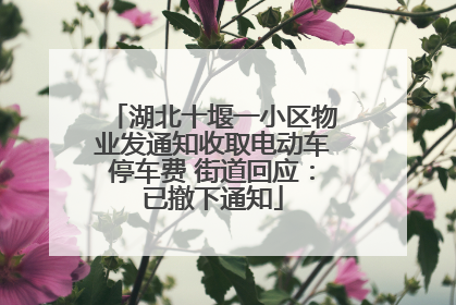 湖北十堰一小区物业发通知收取电动车停车费 街道回应：已撤下通知