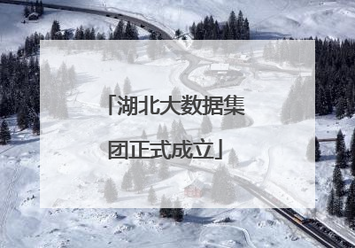 湖北大数据集团正式成立