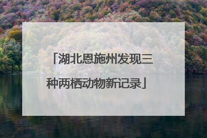 湖北恩施州发现三种两栖动物新记录