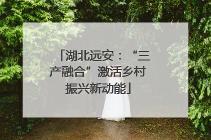 湖北远安：“三产融合”激活乡村振兴新动能