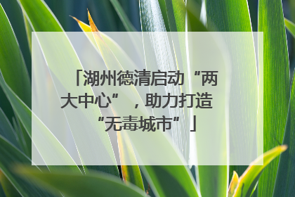 湖州德清启动“两大中心”，助力打造“无毒城市”