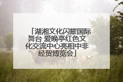 湖湘文化闪耀国际舞台 爱晚亭红色文化交流中心亮相中非经贸博览会