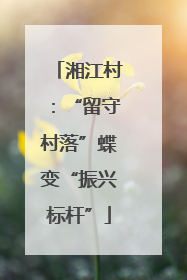 湘江村：“留守村落”蝶变“振兴标杆”
