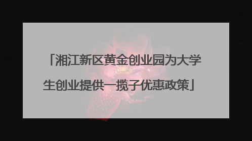 湘江新区黄金创业园为大学生创业提供一揽子优惠政策