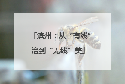 滨州：从“有线”治到“无线”美