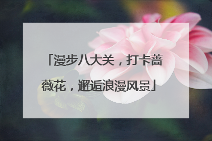 漫步八大关，打卡蔷薇花，邂逅浪漫风景
