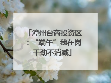 漳州台商投资区：“端午”我在岗 干劲不消减