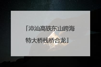 漳汕高铁东山跨海特大桥栈桥合龙