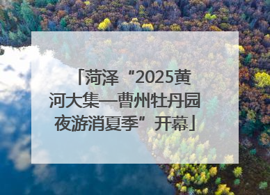 菏泽“2025黄河大集—曹州牡丹园夜游消夏季”开幕