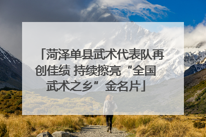 菏泽单县武术代表队再创佳绩 持续擦亮“全国武术之乡”金名片