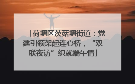 荷塘区茨菇塘街道：党建引领架起连心桥，“双联夜访”织就端午情