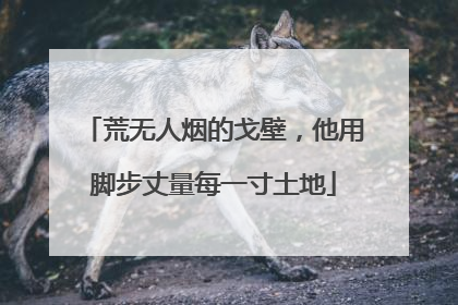 荒无人烟的戈壁，他用脚步丈量每一寸土地