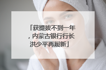 获提拔不到一年，内蒙古银行行长洪少平再履新