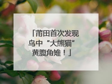 莆田首次发现鸟中“大熊猫”黄腹角雉！