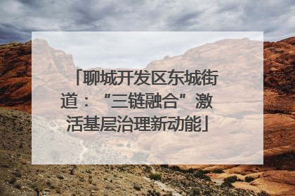 聊城开发区东城街道：“三链融合”激活基层治理新动能