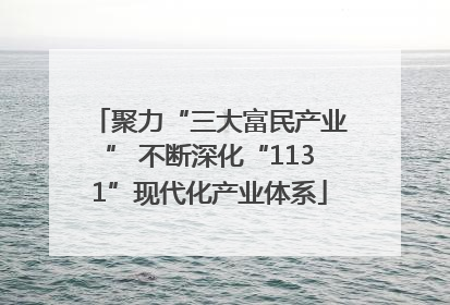 聚力“三大富民产业” 不断深化“1131”现代化产业体系