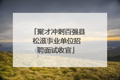 聚才冲刺百强县 松滋事业单位招聘面试收官