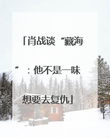 肖战谈“藏海”：他不是一味想要去复仇