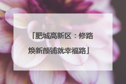 肥城高新区：修路焕新颜铺就幸福路