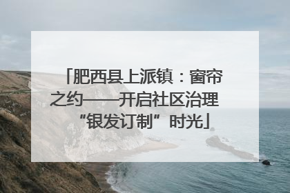 肥西县上派镇：窗帘之约——开启社区治理“银发订制”时光