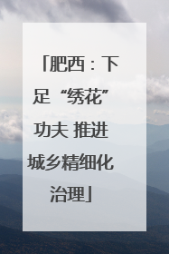 肥西：下足“绣花”功夫 推进城乡精细化治理