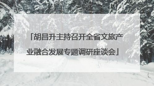 胡昌升主持召开全省文旅产业融合发展专题调研座谈会