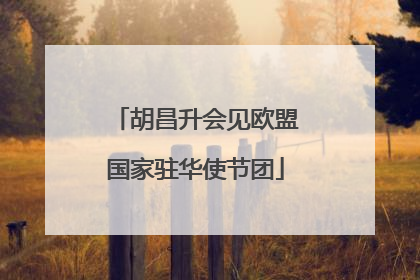 胡昌升会见欧盟国家驻华使节团