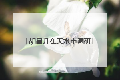胡昌升在天水市调研