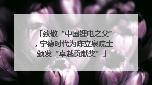 致敬“中国锂电之父”，宁德时代为陈立泉院士颁发“卓越贡献奖”