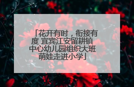 花开有时，衔接有度 宜宾江安留耕镇中心幼儿园组织大班萌娃走进小学