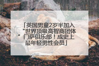 英国男童2岁半加入“世界顶级高智商团体”门萨俱乐部！成史上最年轻男性会员