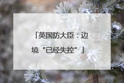 英国防大臣：边境“已经失控”