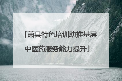 萧县特色培训助推基层中医药服务能力提升