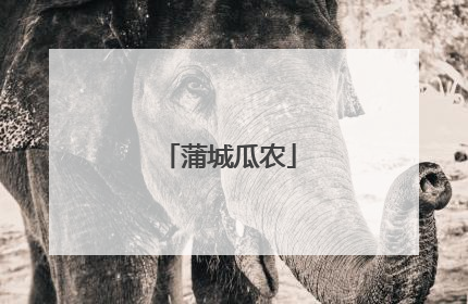 蒲城瓜农