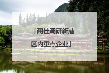 蔺佳调研新港区内重点企业