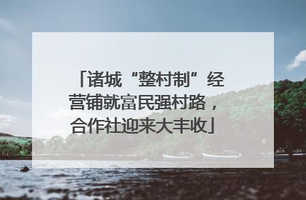 诸城“整村制”经营铺就富民强村路，合作社迎来大丰收