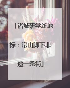 诸城研学新地标：常山脚下非遗一条街