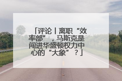 评论丨离职“效率部”，马斯克是闯进华盛顿权力中心的“大象”？