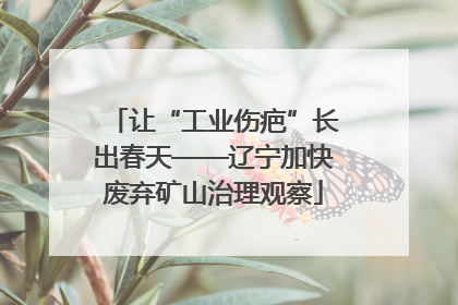 让“工业伤疤”长出春天——辽宁加快废弃矿山治理观察