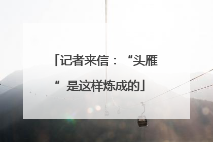 记者来信：“头雁”是这样炼成的
