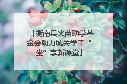 衡南县火苗助学基金会助力城关学子“坐”享新课堂