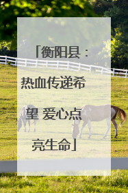 衡阳县：热血传递希望 爱心点亮生命