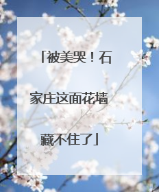 被美哭！石家庄这面花墙藏不住了