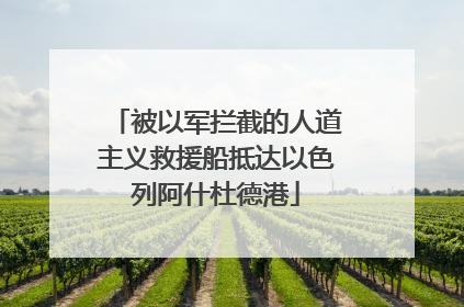 被以军拦截的人道主义救援船抵达以色列阿什杜德港