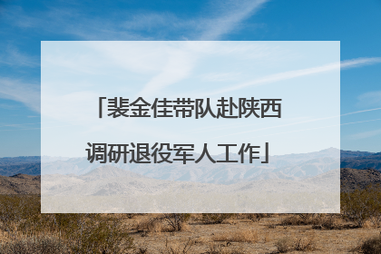 裴金佳带队赴陕西调研退役军人工作